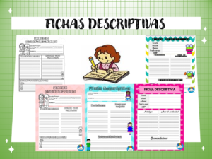 FICHAS DESCRIPTIVAS