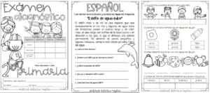 Diagnostico 2°