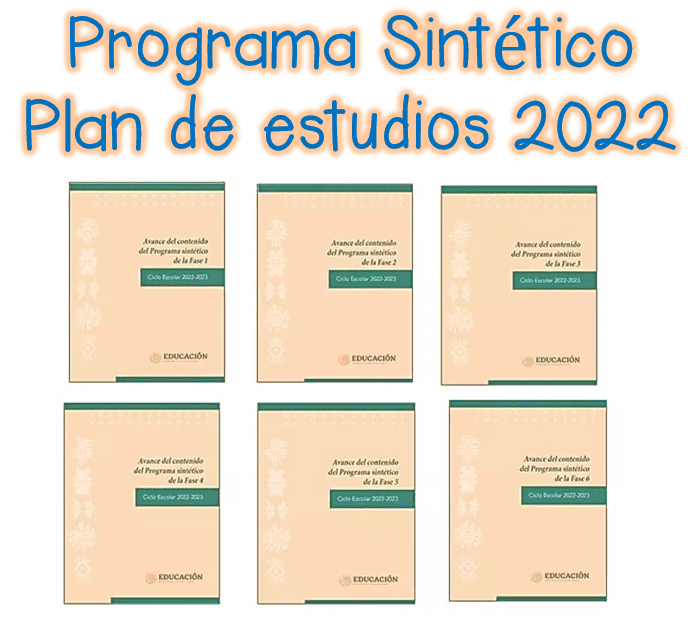 Programa sintetico 2022
